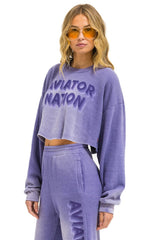 AN 3D CROPPED CREW SWEATSHIRT RELAXED - FADED GRAPE