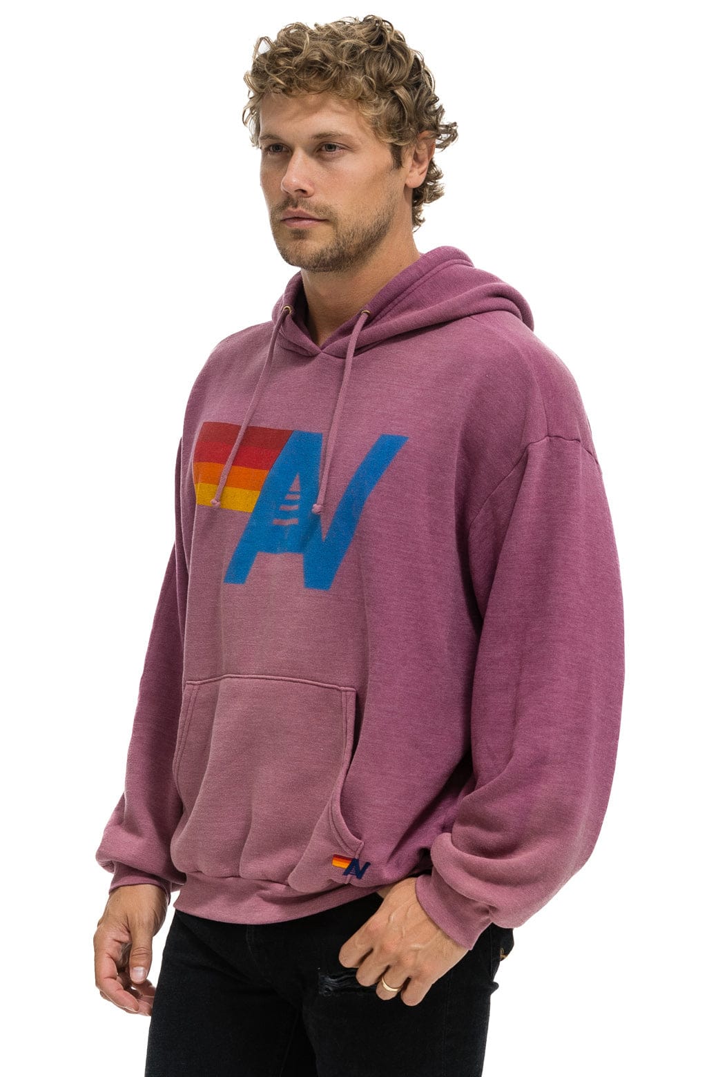 VINTAGE LOGO RELAXED PULLOVER HOODIE - FADED BERRY