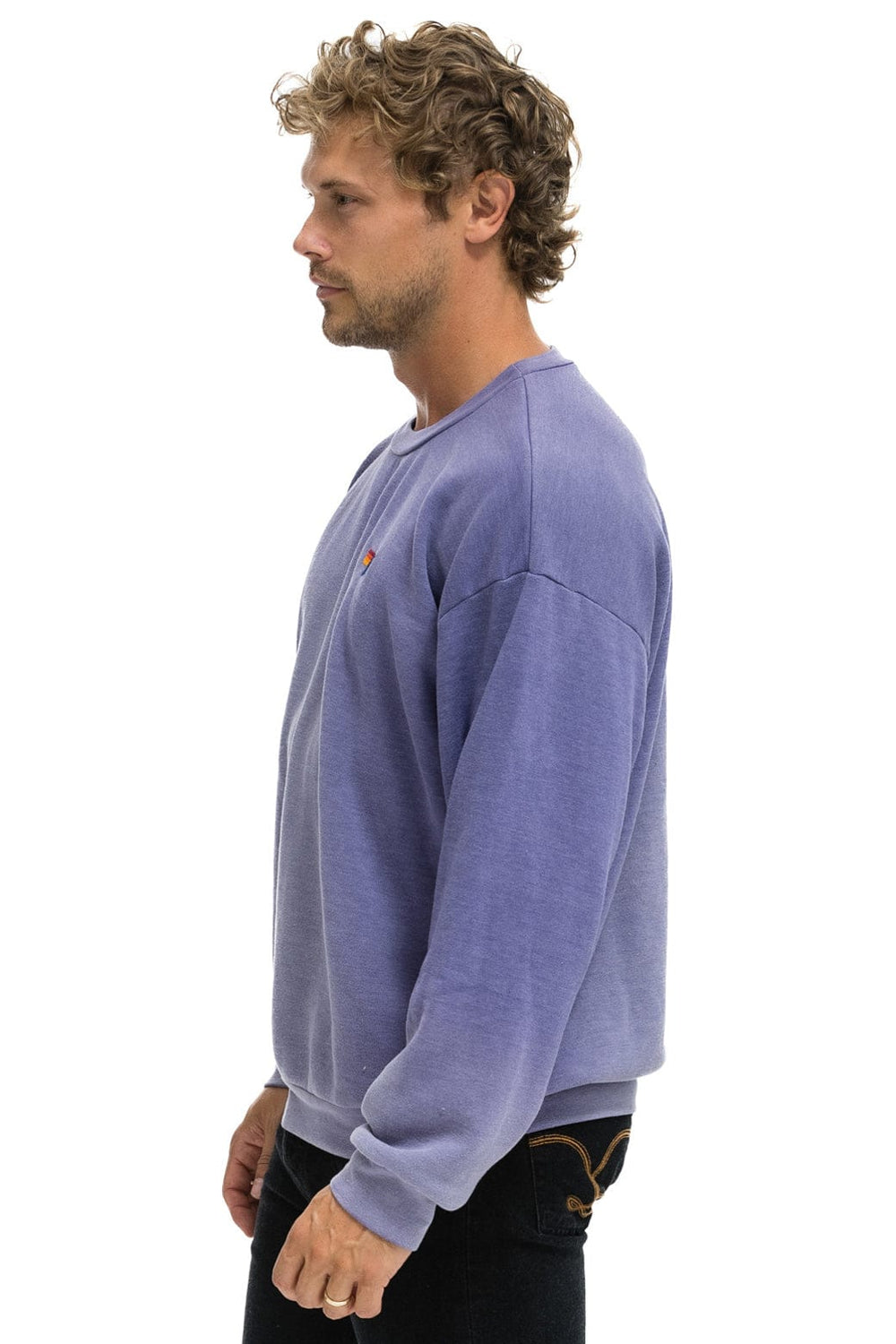 ESSENTIAL RELAXED CREW SWEATSHIRT - FADED GRAPE