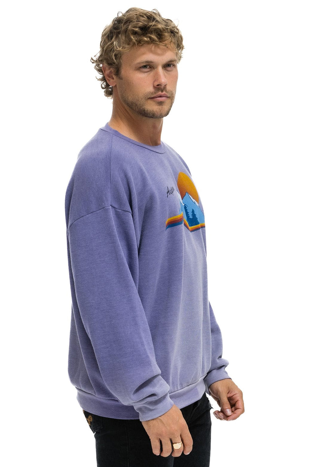 ASPEN MOUNTAIN RELAXED CREW SWEATSHIRT - FADED GRAPE