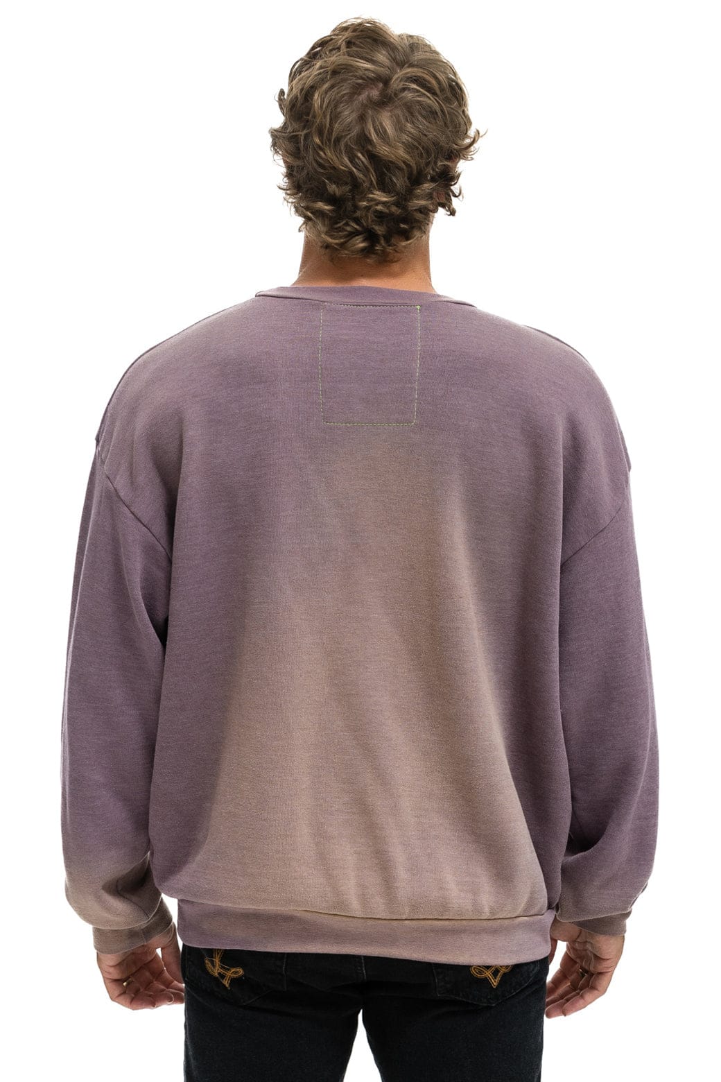 WATER SKIER RELAXED CREW SWEATSHIRT - FADED MOCHA
