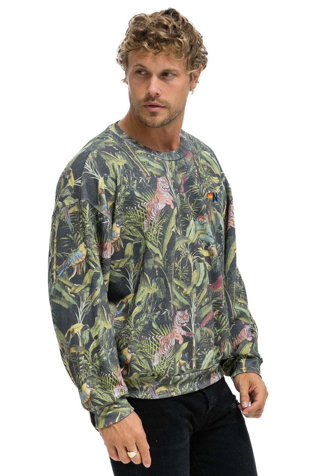 JUNGLE RELAXED CREW SWEATSHIRT - VINTAGE CHARCOAL