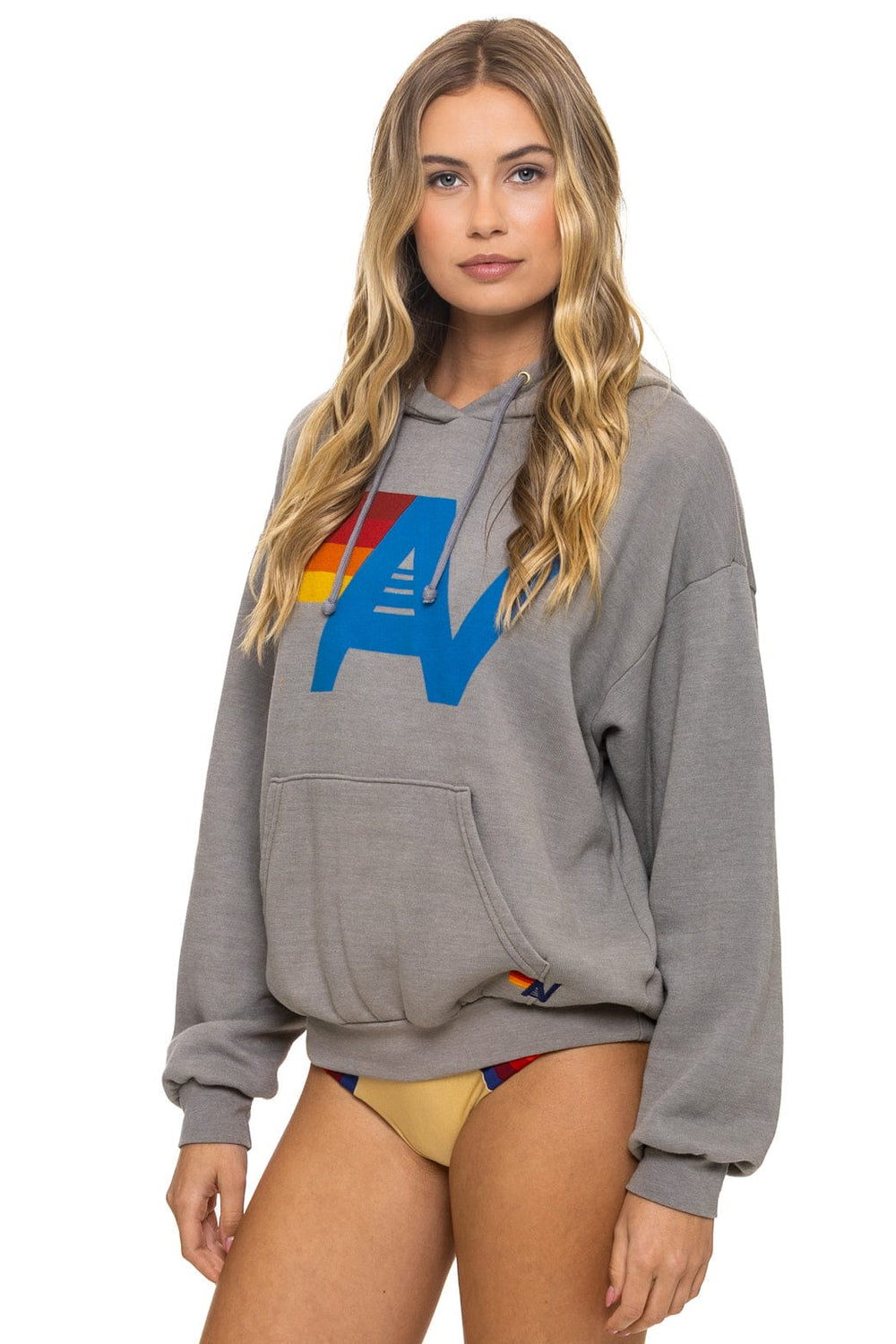 LOGO PULLOVER RELAXED HOODIE - SLATE