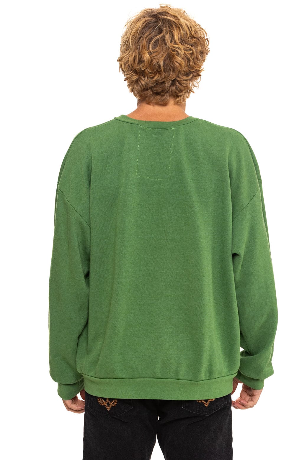 ALL SEASONS CIRCLE RELAXED CREW SWEATSHIRT - PALM