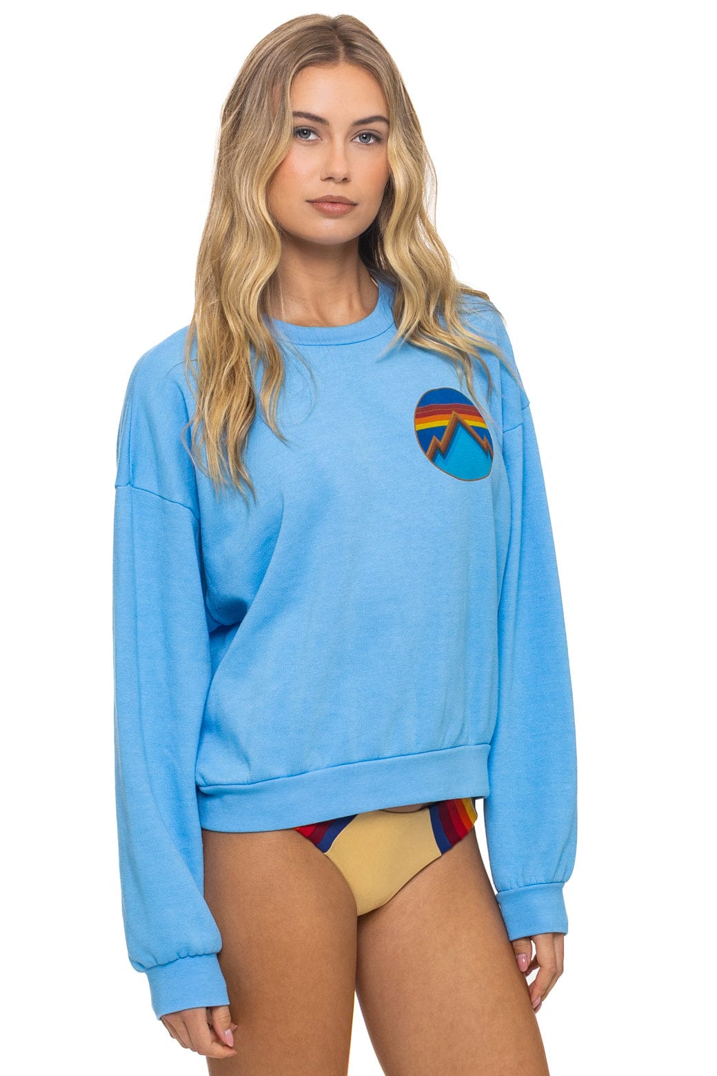 ALL SEASONS CIRCLE RELAXED CREW SWEATSHIRT - SKY