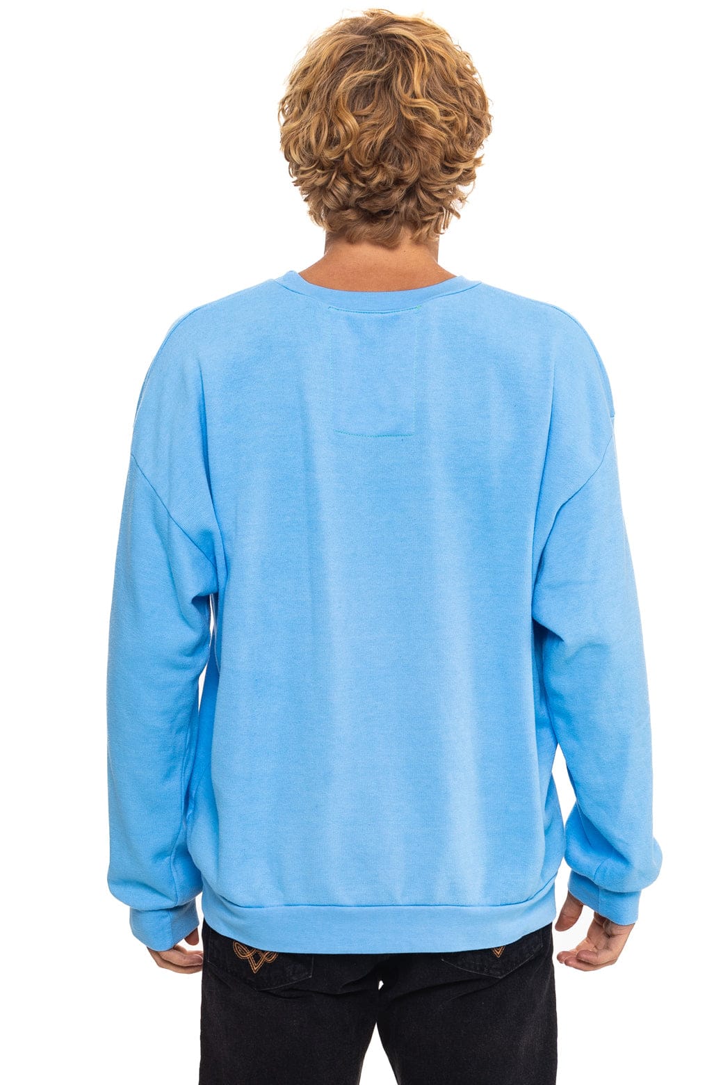 ALL SEASONS CIRCLE RELAXED CREW SWEATSHIRT - SKY